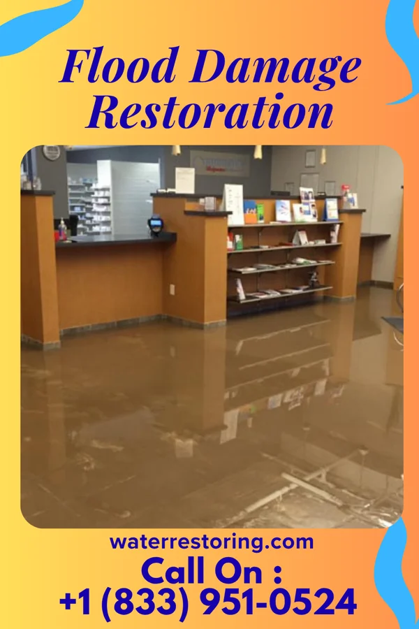 Flood Damage Restoration in Marlow Heights, MD