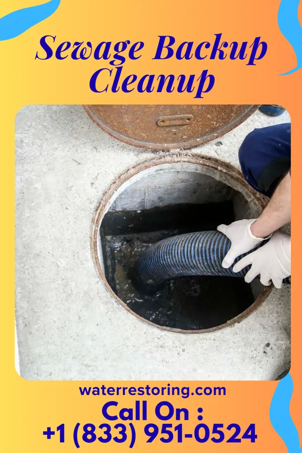 Sewage Backup Cleanup in Marlow Heights, MD
