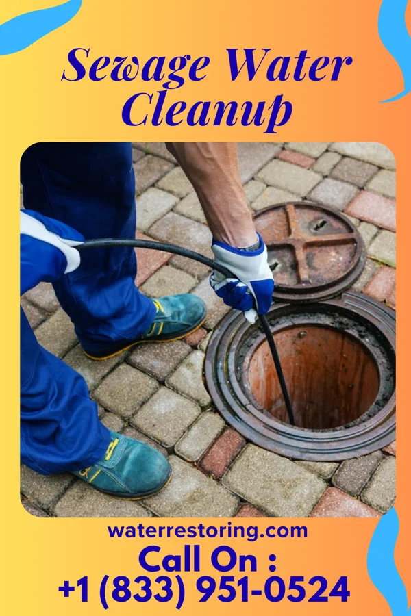 Sewage Water Cleanup in Marlow Heights, MD
